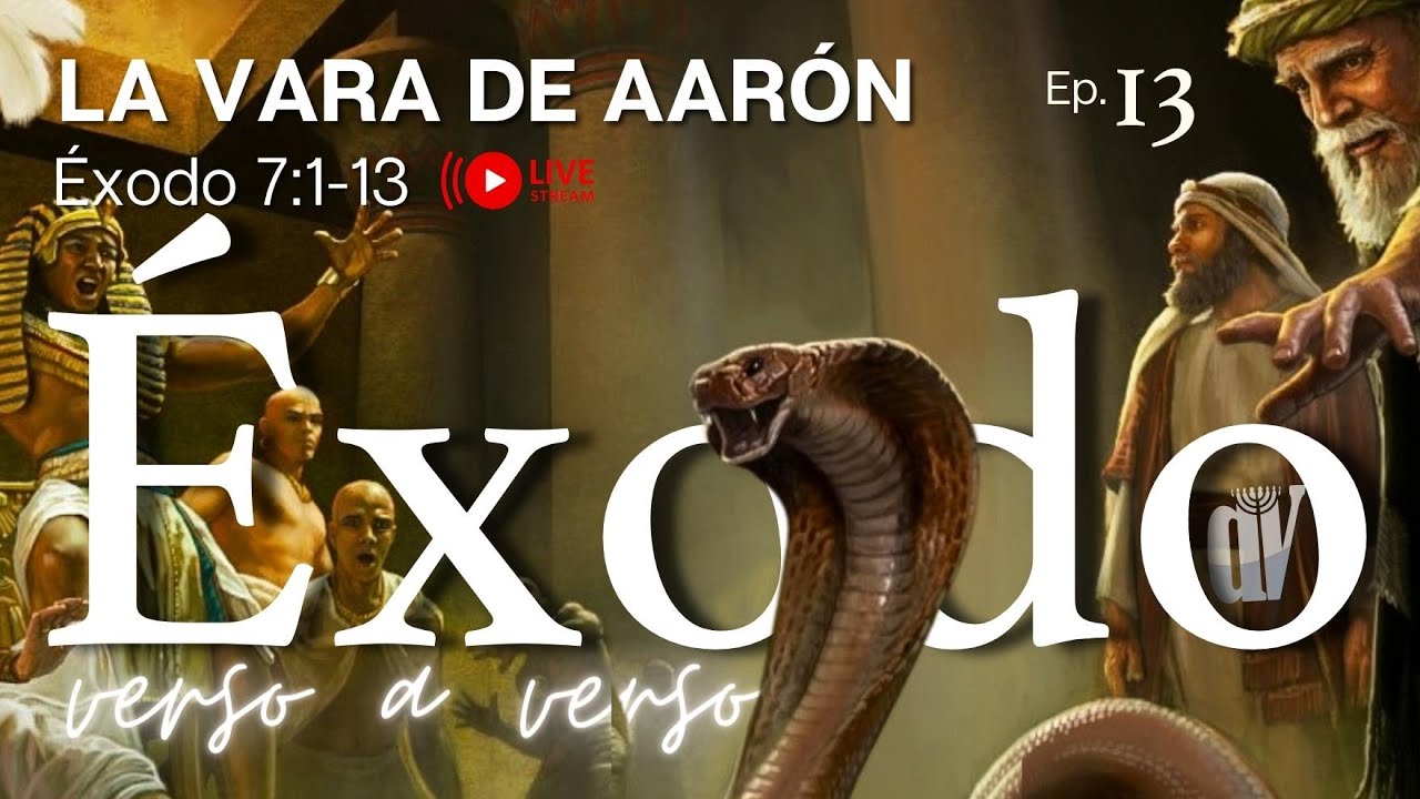 [#13] La VARA de Aarón👈 [Se transforma en DRAGÓN]  [Éxodo 7:1-13]
