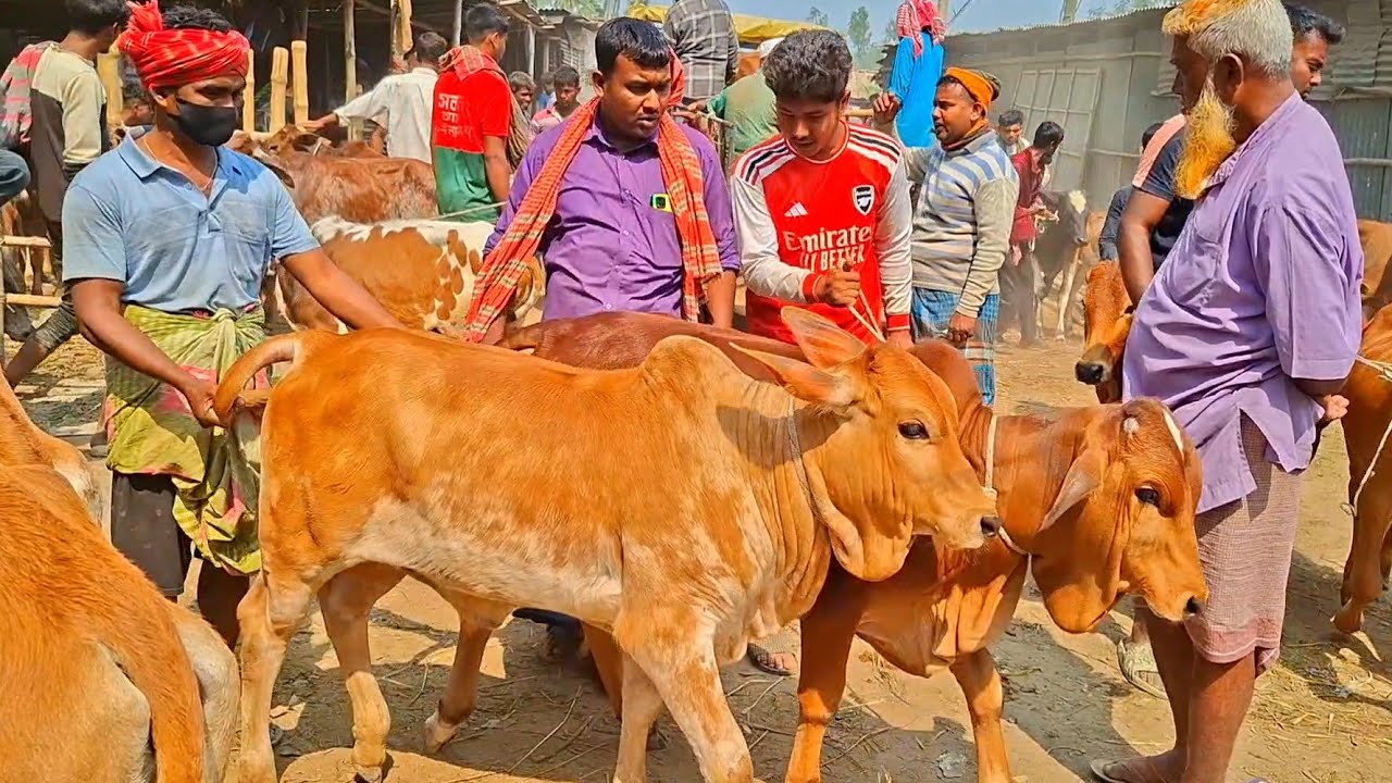 @আজ ২০ ফেব্রুয়ারী