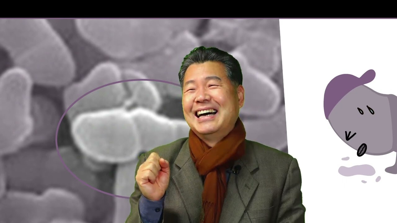 발효술 개발은 이렇게 하세요.