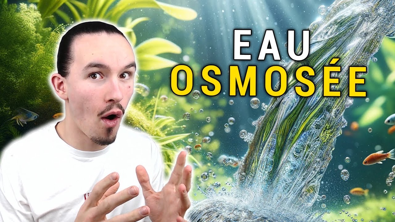 L'EAU OSMOSÉE EN AQUARIUM, TOUT SAVOIR