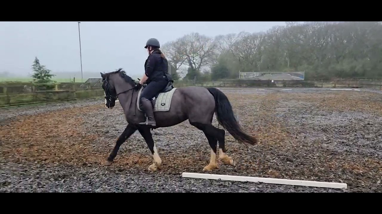 Helen Murphy riding M for Eriders main arena December 2024 elementary 2