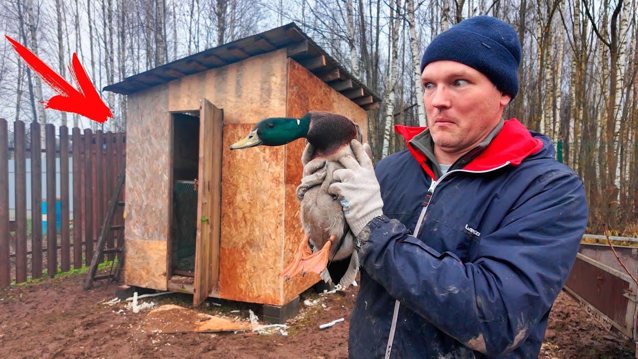 СОСЕДИ В УЖАСЕ! БЛОГЕР СНОВА ЧТО-ТО СТРОИТ...