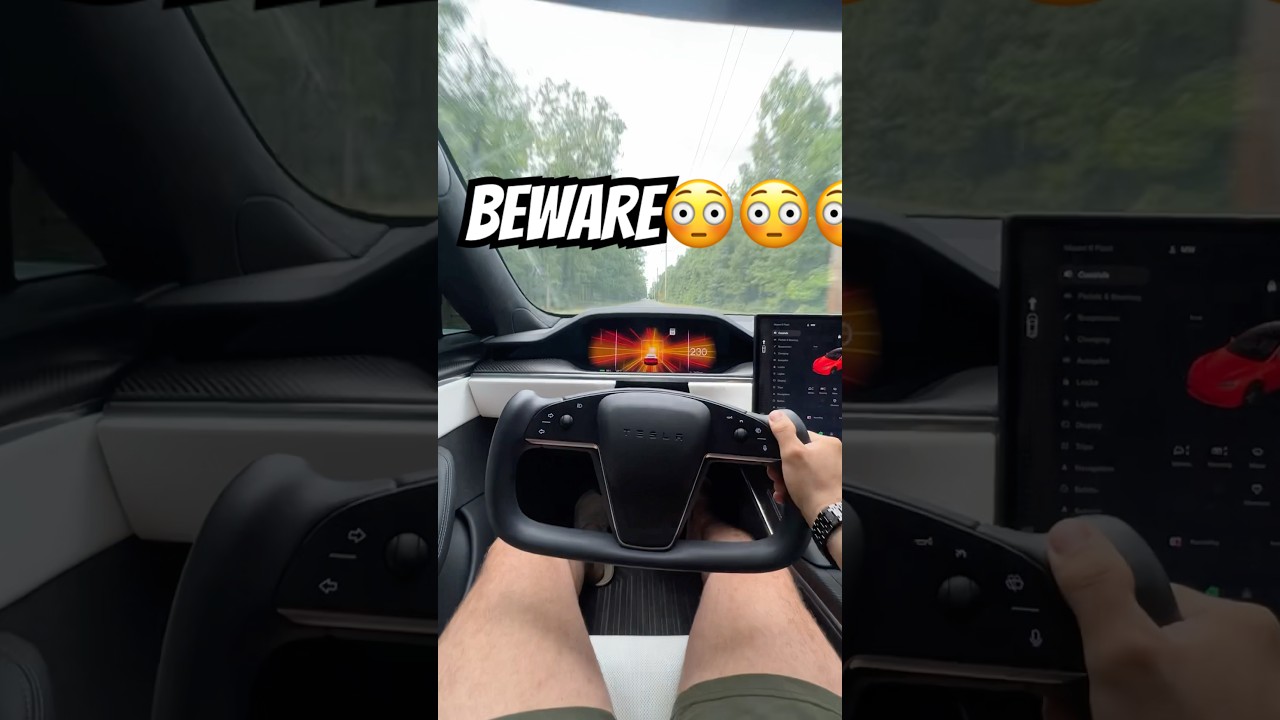 DO NOT BUY A TESLA MODEL S PLAID AND DO THIS 😳