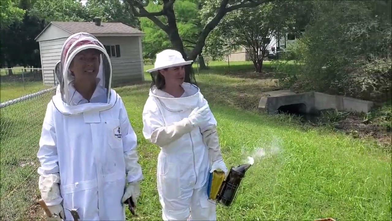 Honey Harvest on May 19, 2023