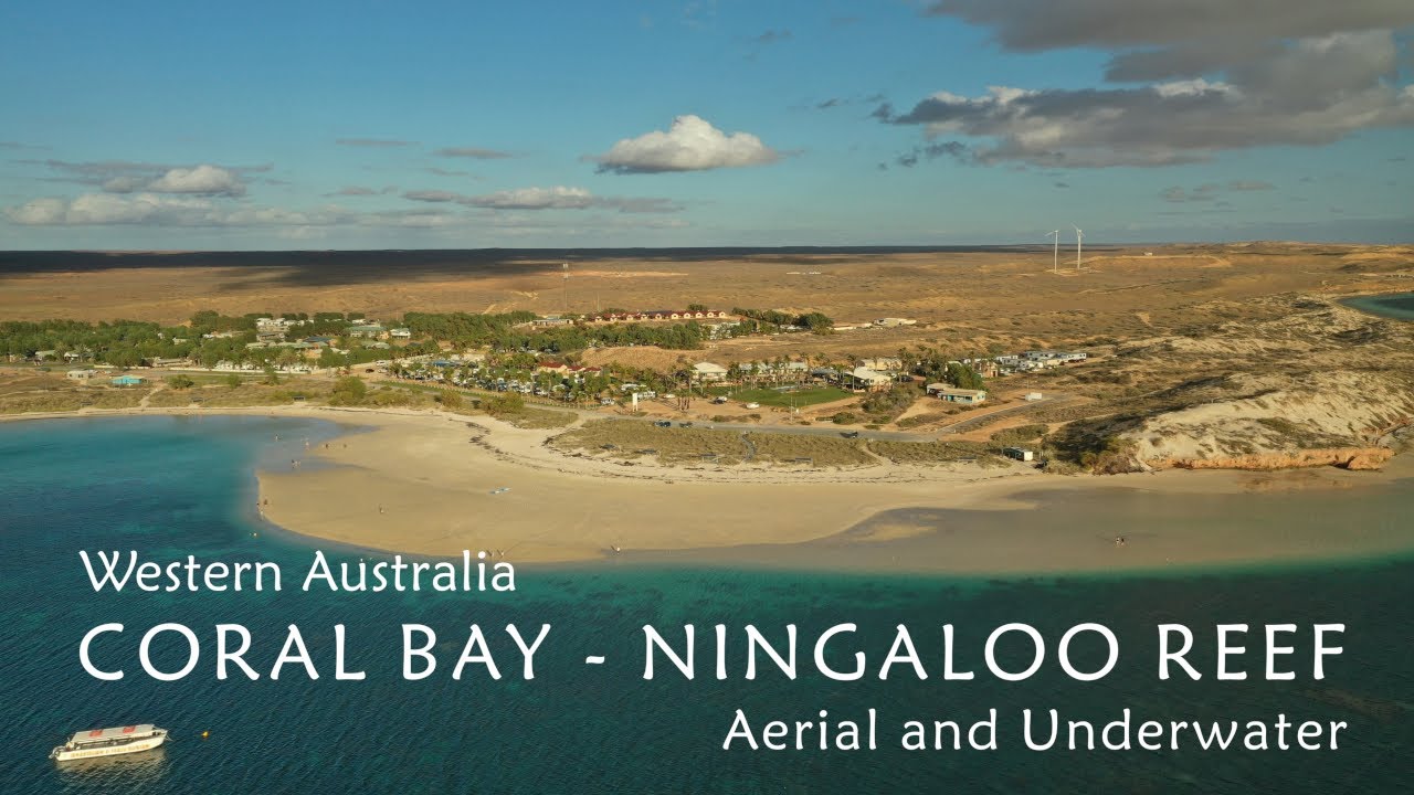 Coral Bay - Ningaloo Reef, Western Australia - 4K Ultra HD