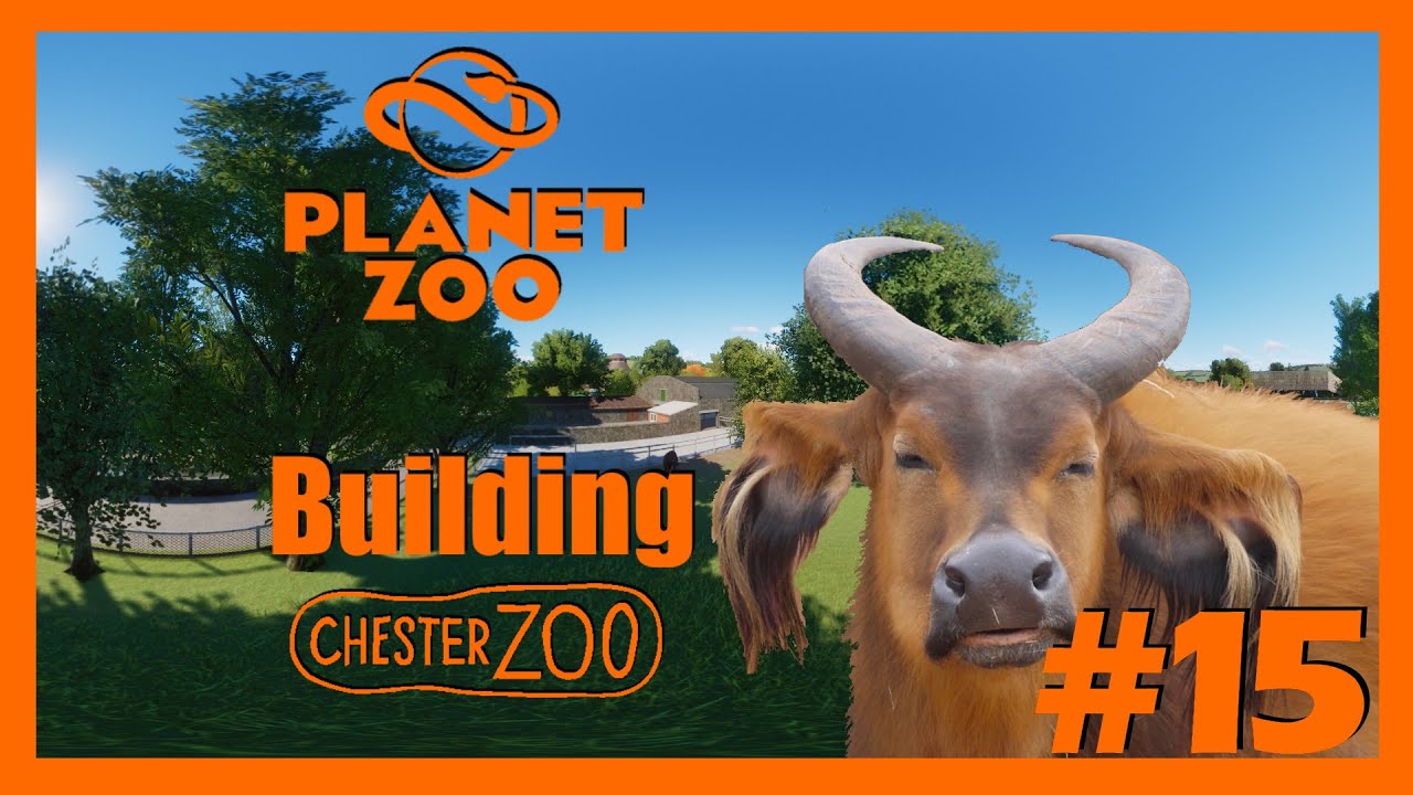 Building Chester Zoo: Congo Buffalo and Anoa Enclosure | Planet Zoo Ep.15