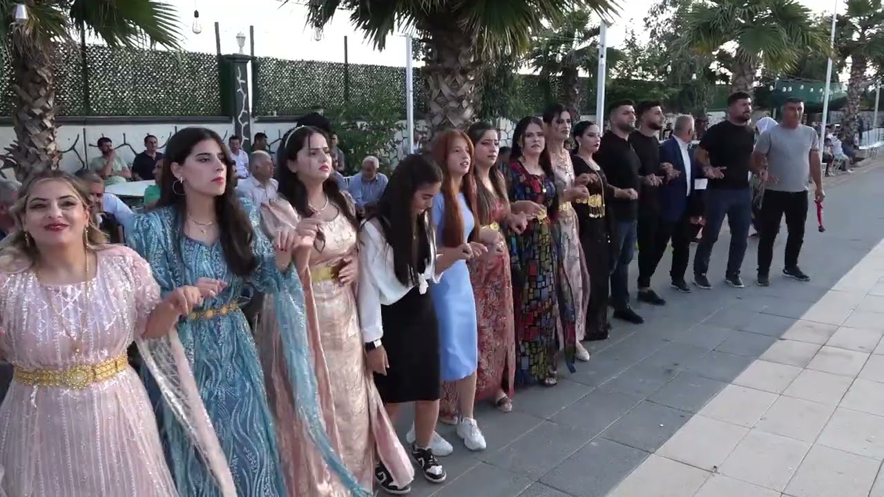 Kemal AYTU Düğünü Part 3 ( Grup Musa Silopi ) 2024