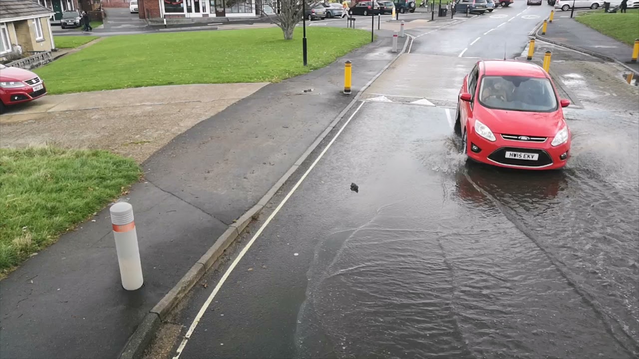 Route 8 Newport To Ryde Via SN and BE