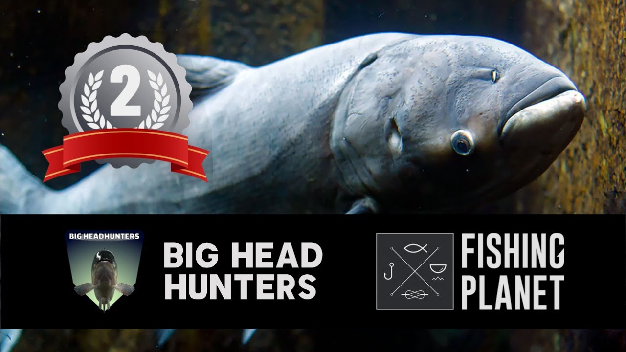 FISHING PLANET COMPETITION - Big Headhunters UNCUT 2nd Place ft 3 Big uniques + 165kg score