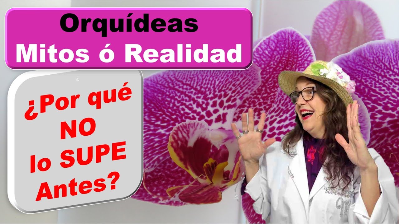 Sorprendete y mira cuales son las 10 Mentiras y Mitos sobre las Orquídeas que seguro te creiste #203