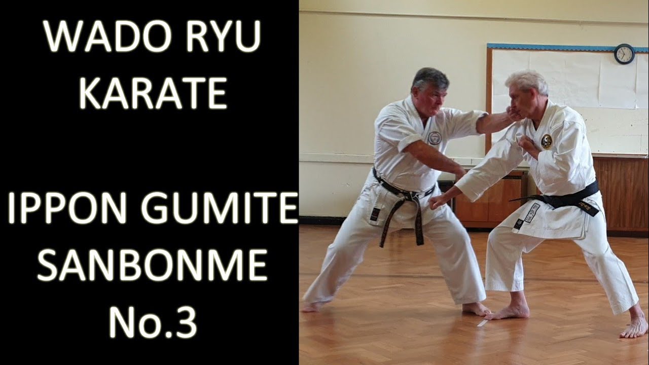 Ippon Gumite - No.3 - Sanbonme - Wado Ryu Karate