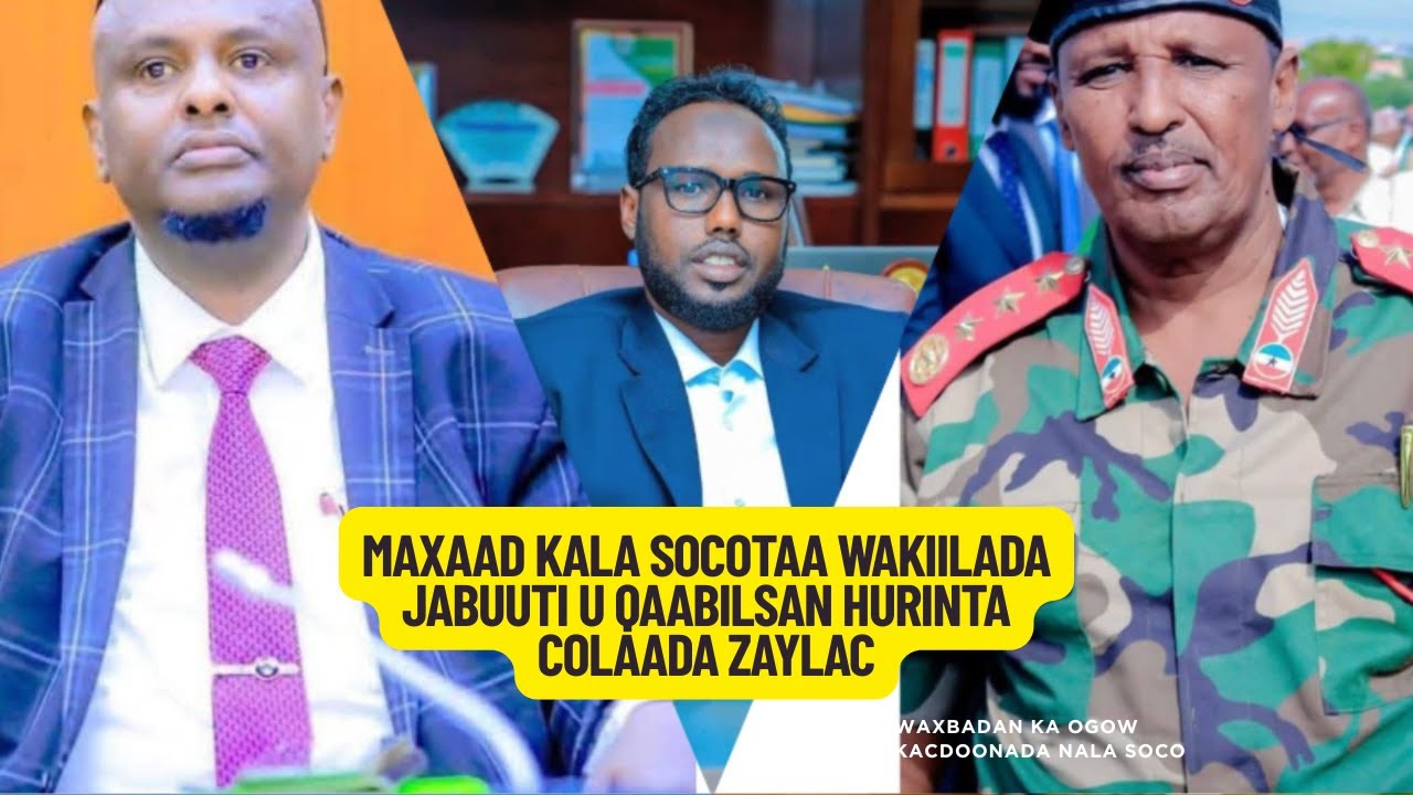 MAXAA KEENEY IN DAD TIRADOODU TAHAY 15% AY MAMULAN DALKA JABUUTI  MAXAASE  KEENAY FARAGALINTA ZAYLAC