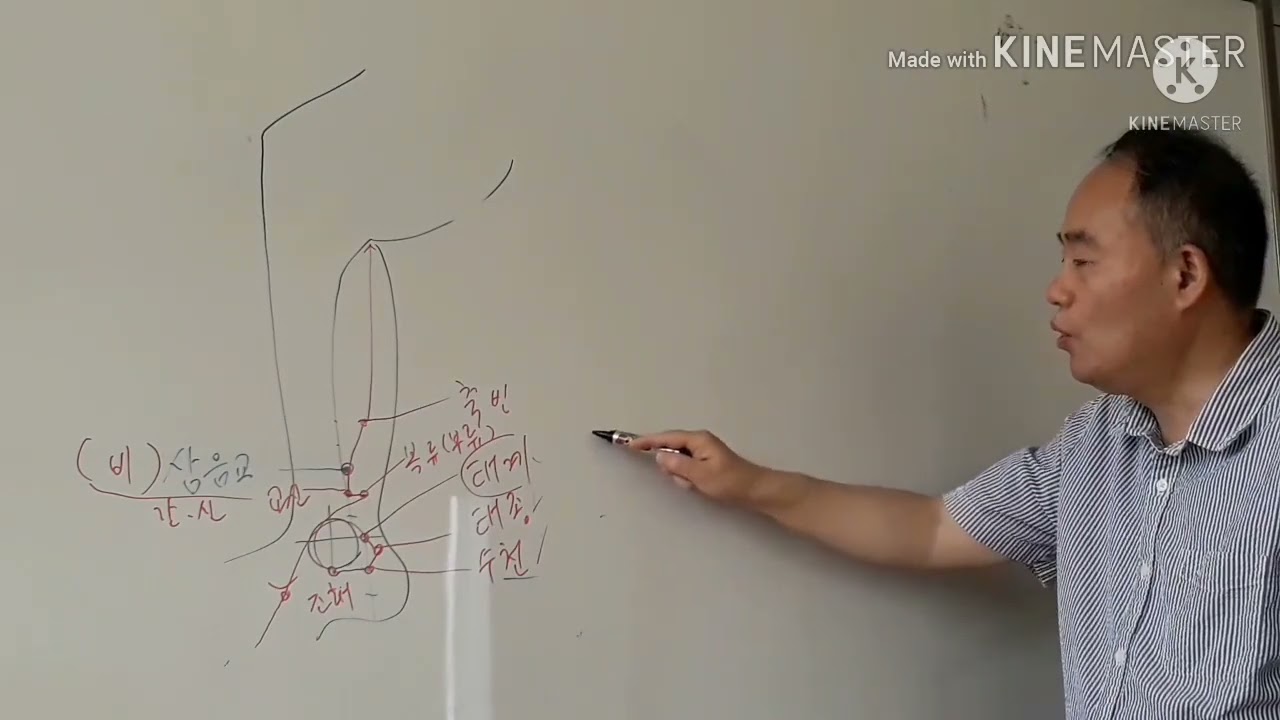[한방서당] 침술 강의 : 족관절염좌 #2