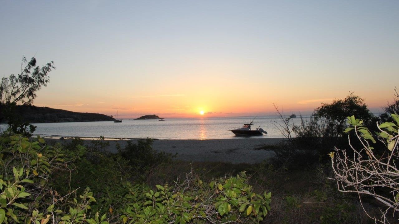 Lizard Island - CodHole Part II  Awesome!!