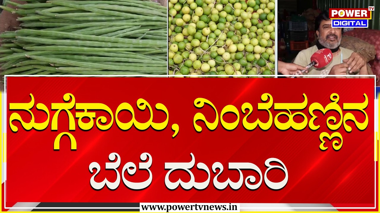 Vegetables Price Hike : ನುಗ್ಗೆಕಾಯಿ & ನುಗ್ಗೆ ಸೊಪ್ಪಿನ ದರ ಏರಿಕೆ.. ಗ್ರಾಹಕರಿಗೆ ಶಾಕ್ | Bengaluru |Power TV