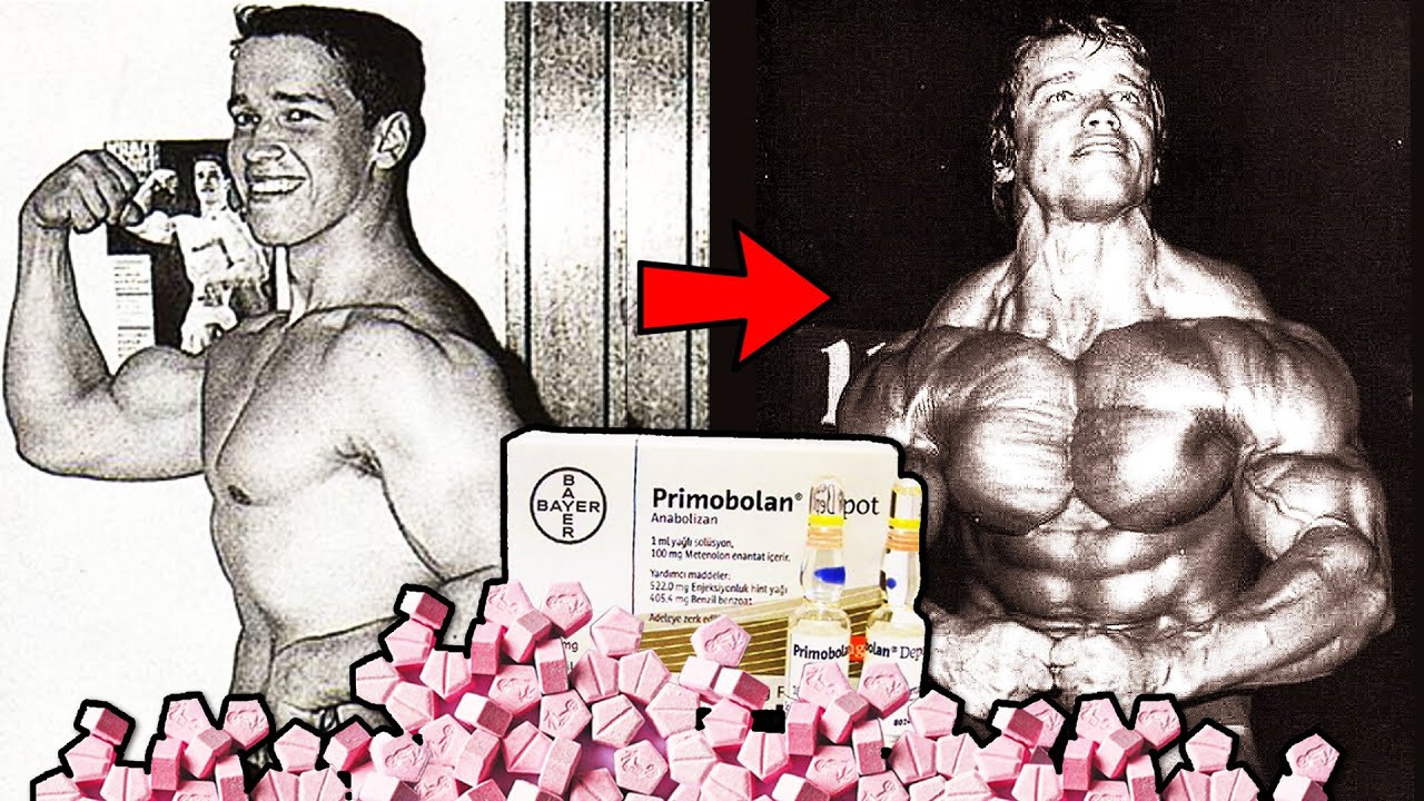 Decoding Arnold Schwarzenegger’s Steroid Cycle - Dbol And Primobolan