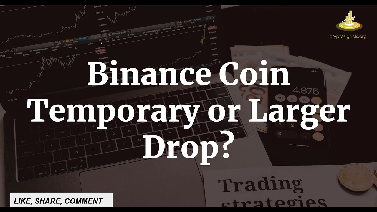 Binance Coin Temporary or Larger Drop? | January 26, 2023