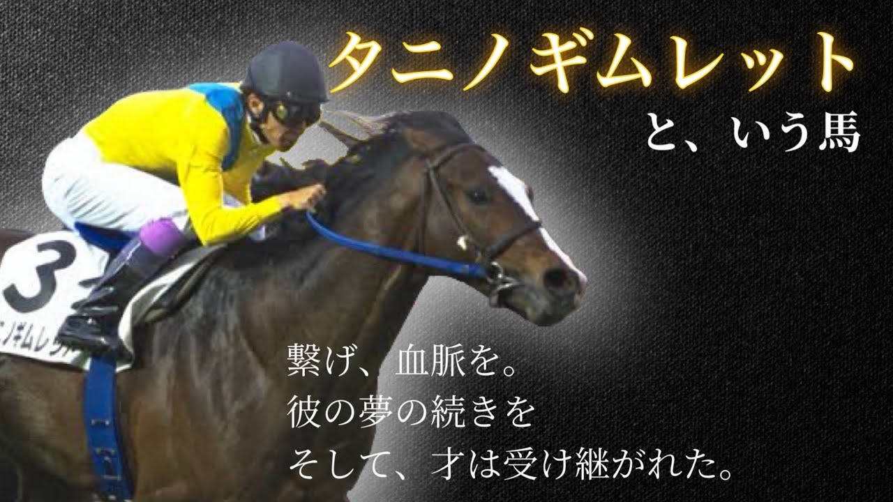 【牧柵破壊神】タニノギムレット🐎👑
