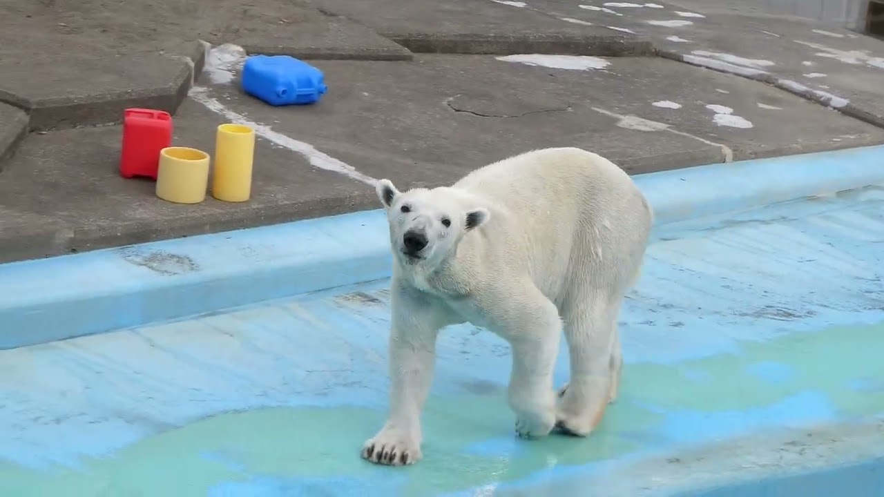 終わりですか？