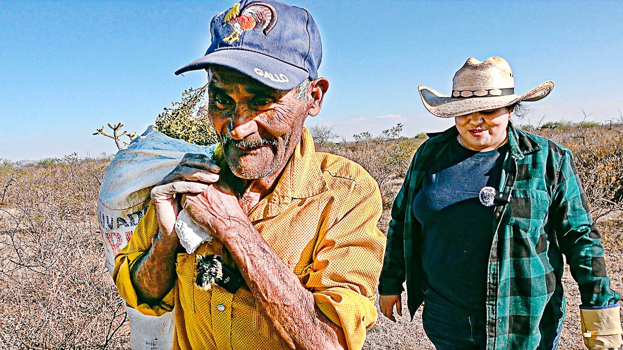 "EN LA PIZCA DE PLANTAS MEDICINALES DE ZACATECAS"
