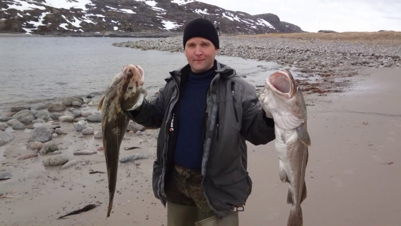 Весенняя морская рыбалка в Баренцевом море.