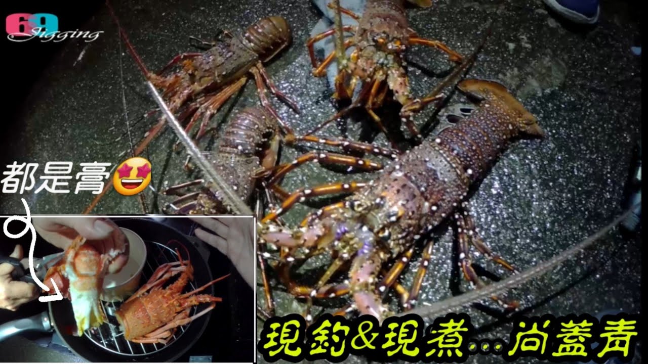 狂風怒海蝦瘋狂!!外拋釣龍蝦起5煮3,跟對師傅絕對讓你上天堂../車中煮超奢侈好吃的清蒸蒜龍蝦&味噌龍蝦鍋現流料理分享 2023/01/ 台灣69J釣魚俱樂部(69J Fishing Club)