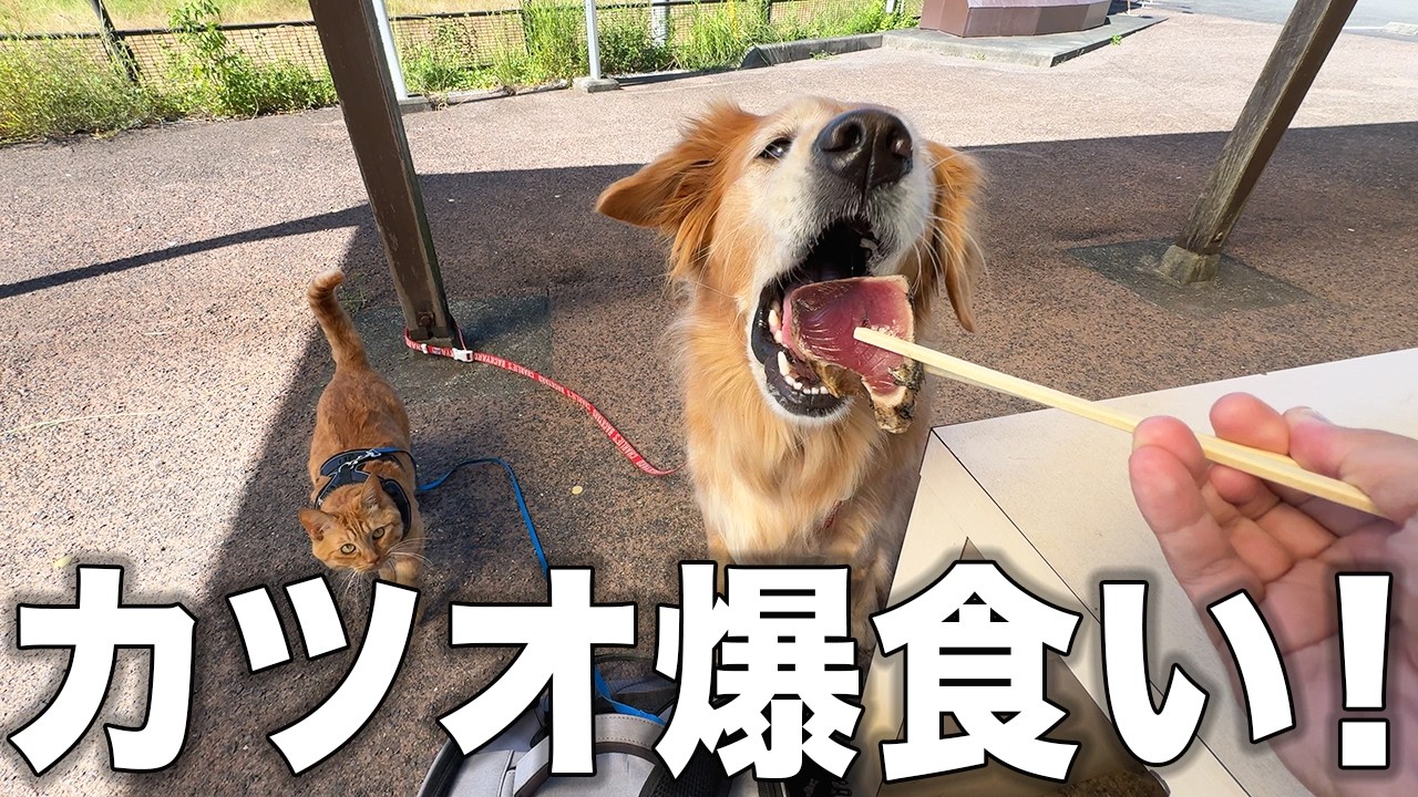 【高知】家族一緒に旅できて幸せすぎました・・・