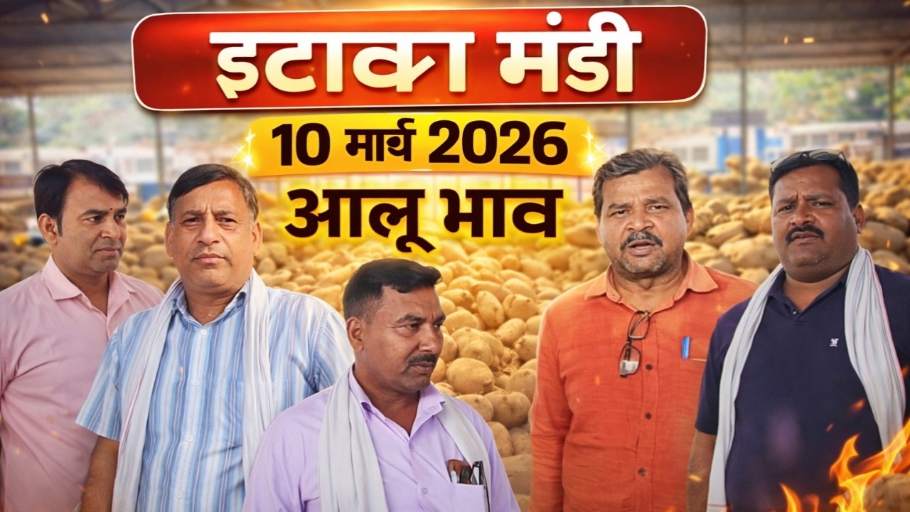 इटावा मंडी में आलू के ताज़ा भाव | 10 मार्च 2026 | आज का आलू रेट क्या है?