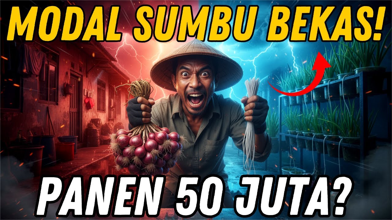 RUMAH SEMPIT HASIL SELANGIT? 🧅 Tanam Bawang Merah Sistem 