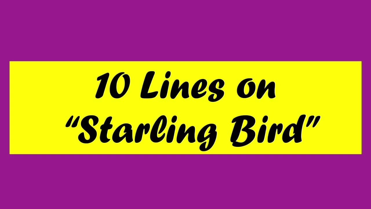 10 Lines on Starling Bird/Few Lines on Starling Bird/Short essay on Starling Bird/Starling Bird
