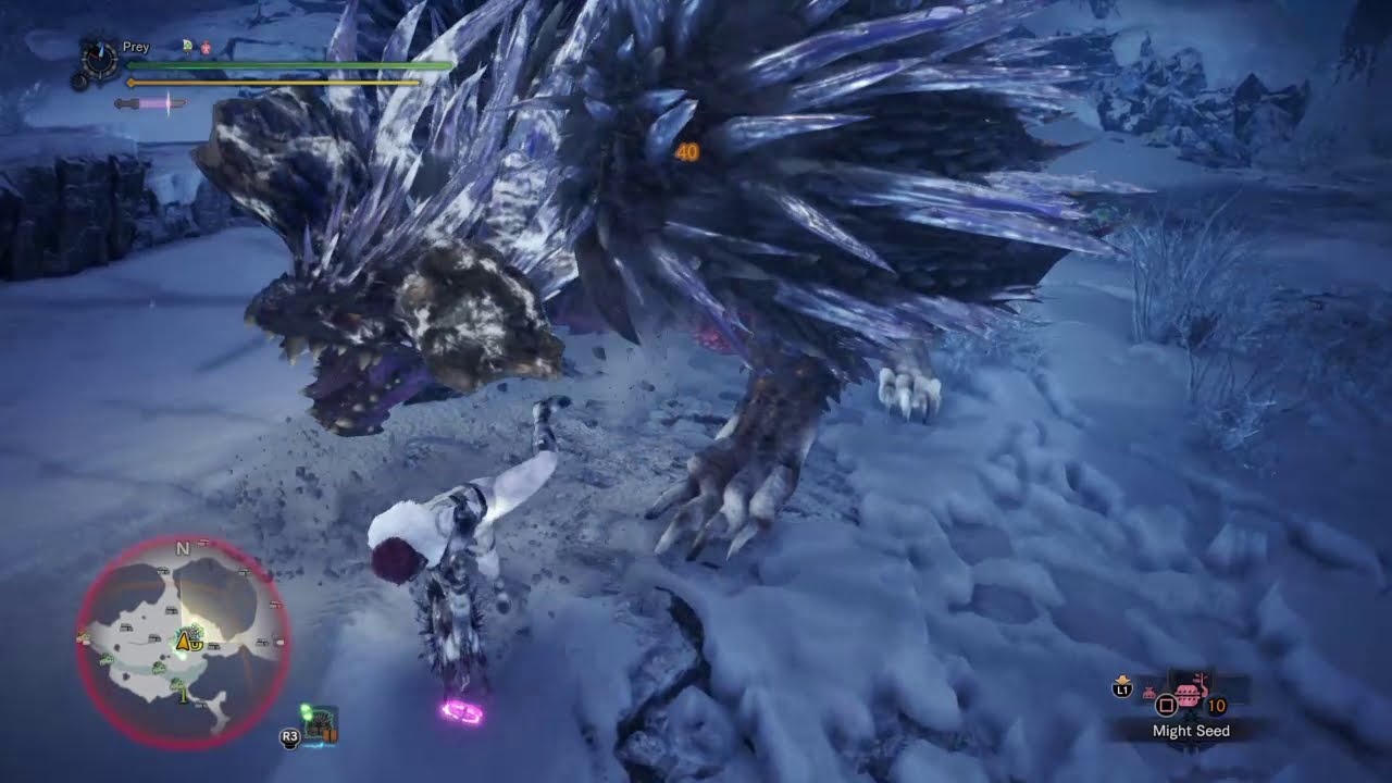 MHWI | Ruiner Nergigante 04'56