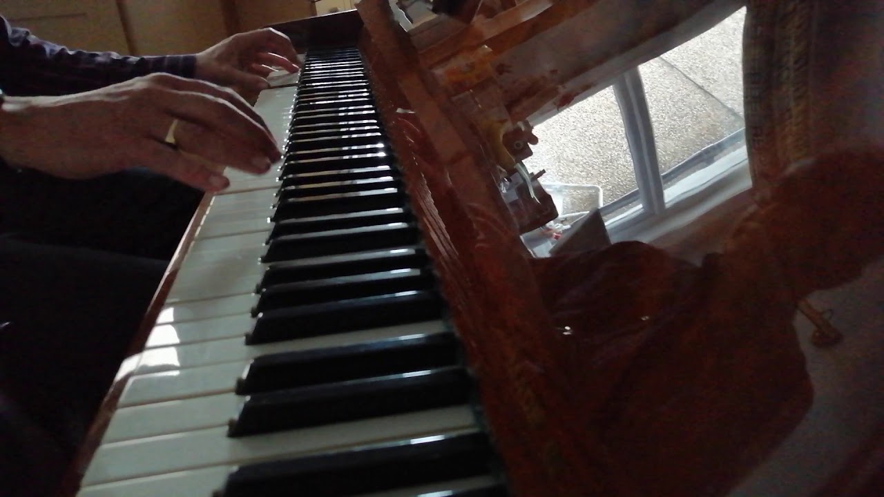 The piranhas Tom hark