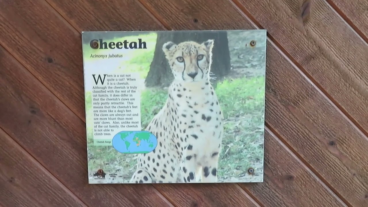 Caldwell Zoo Full Tour 2022