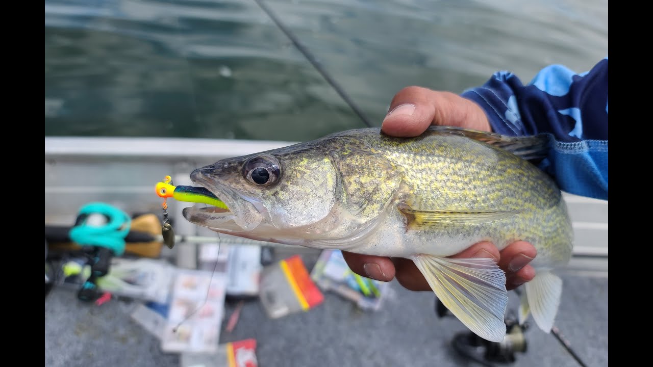 Cherry Creek State Park Walleye Fishing