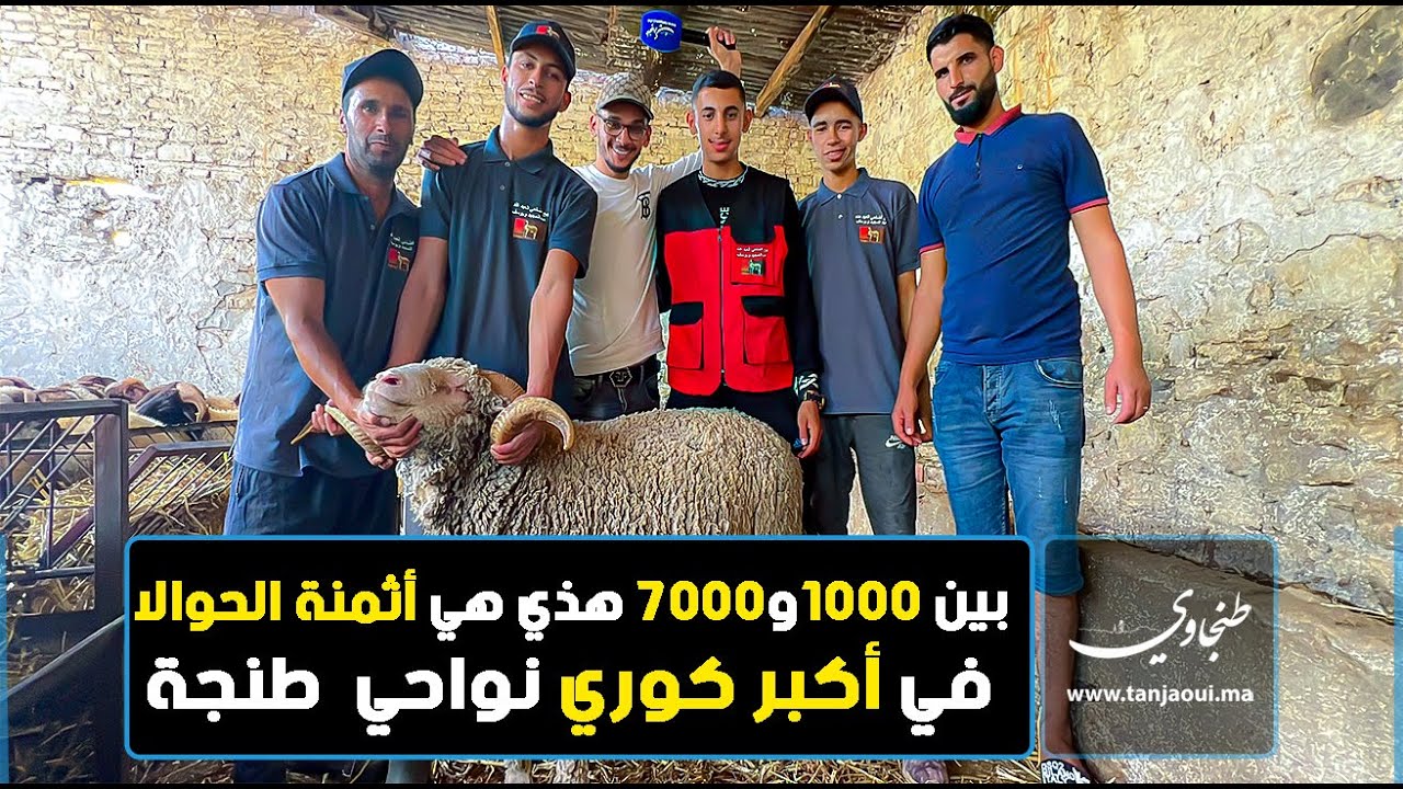 بين 1000و7000 هذي هي أثمنة الحوالا في أكبر كوري نواحي  طنجة
