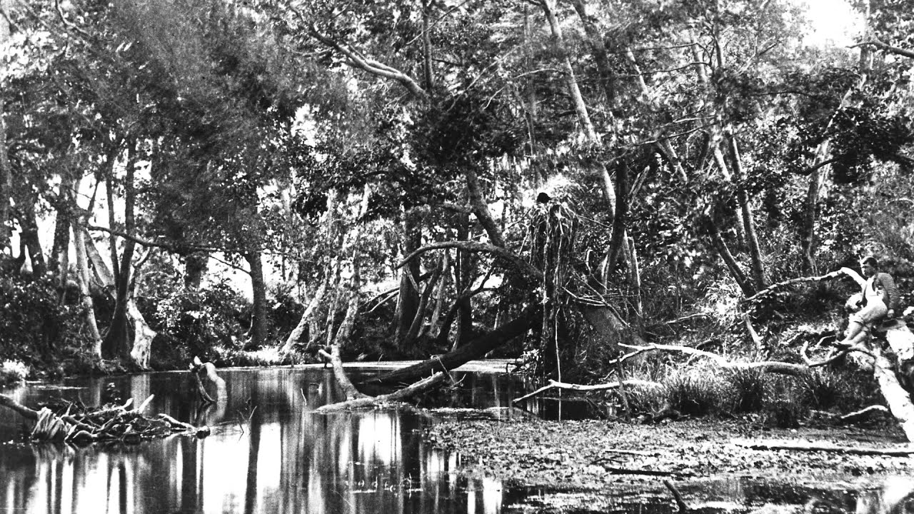 Townsville Voices: Memories of Townsville