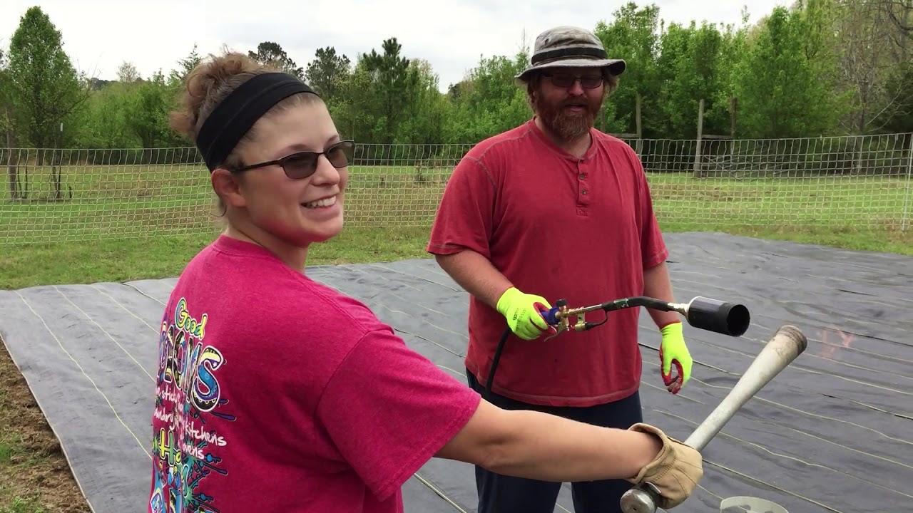 Putting down the woven ground cover for the garden, and introducing the garden 