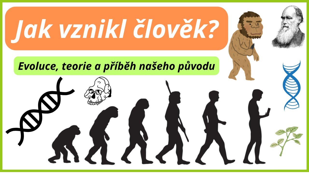 Jak vznikl člověk? Evoluce, teorie a fascinuj&iacute;c&iacute; fakta o Homo sapiens