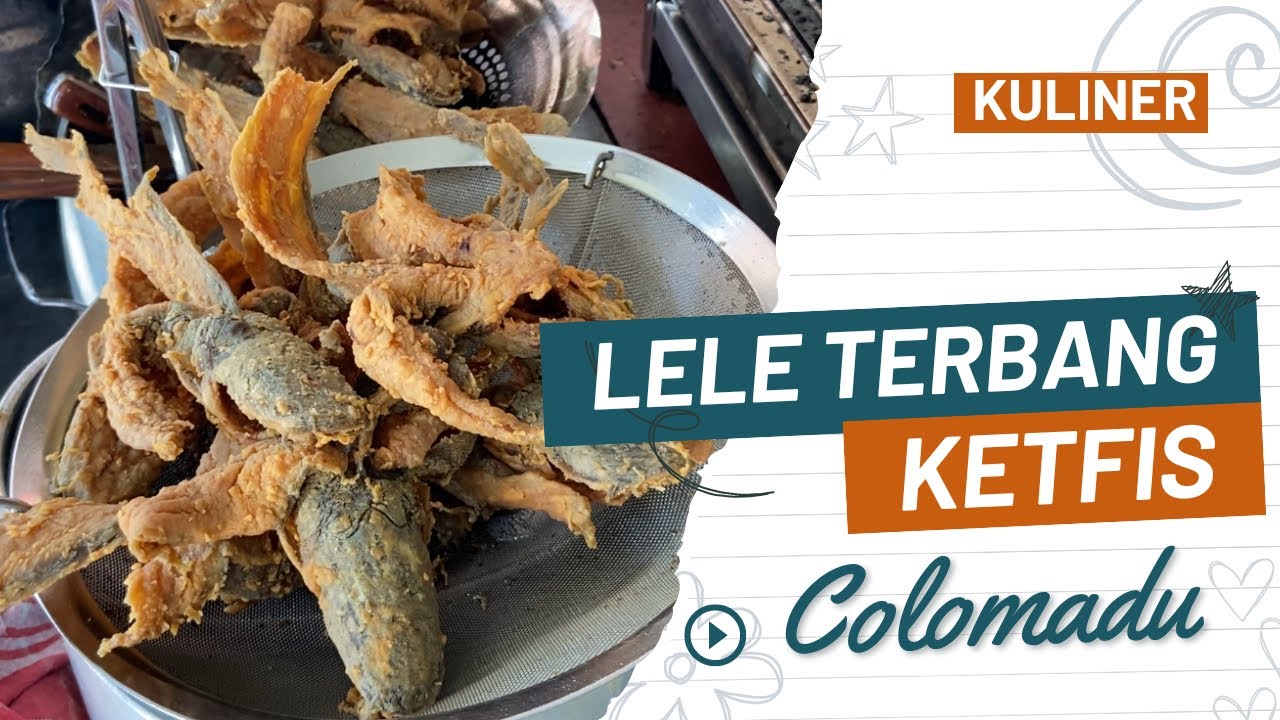 LELE TERBANG KRISPY KETFIS