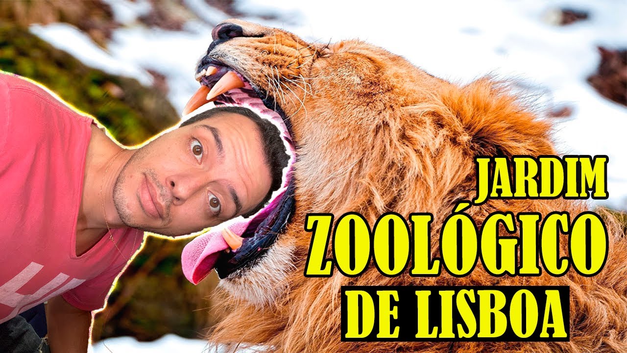 COMO É O ZOOLÓGICO DE LISBOA EM PORTUGAL? SIMPLESMENTE ENCANTADOR.