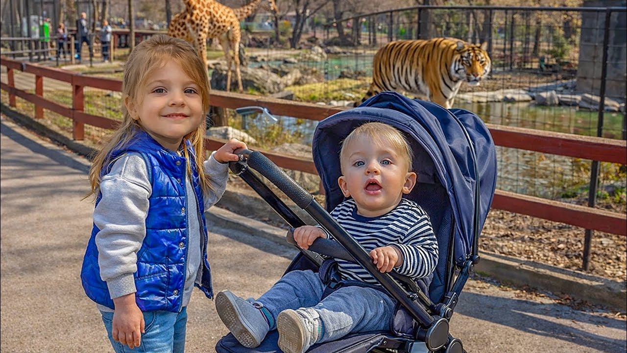 AMADEUS este in PERICOL cu MELANIA la ZOOPARC 😱