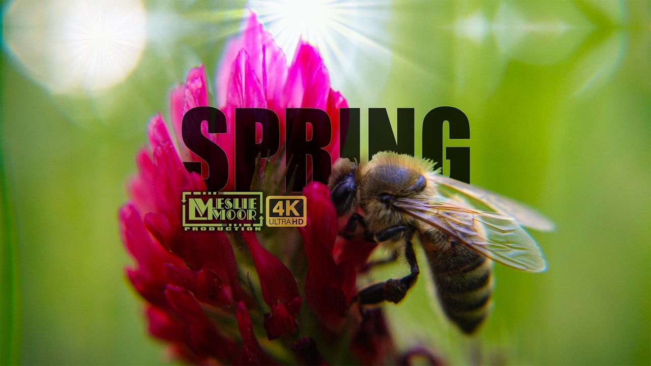 Spring - (Official Music Video by Leslie Moor)