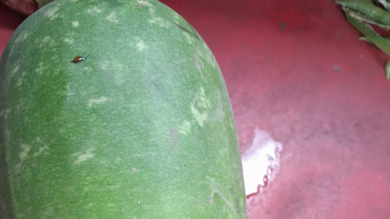 লাউ ডাল বানালাম কেমন লাগলো বন্ধুরা জানাবেন #cooking #views 