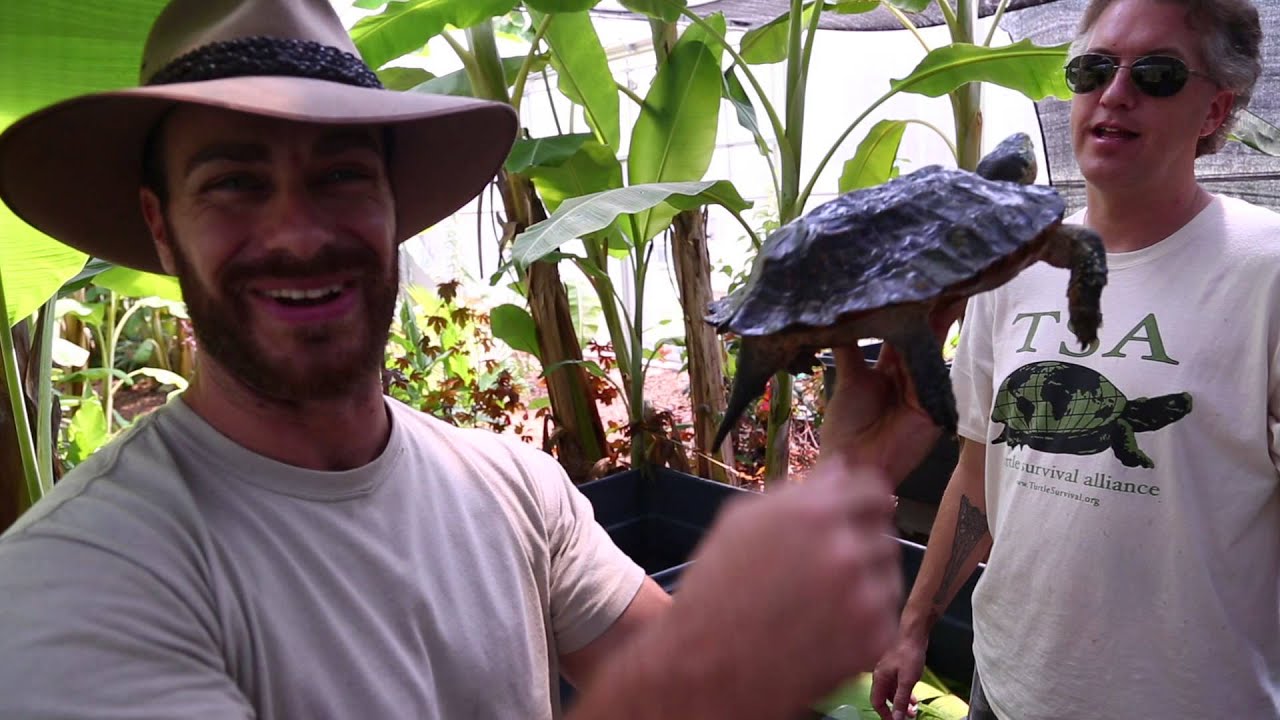 Turtle Greenhouse at the TSA : Kamp Kenan S3 Episode 11