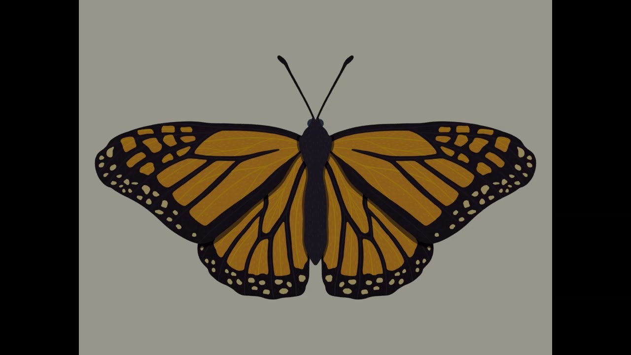 (FREE TO USE) FREESTYLE LOFI HIP-HOP TYPE BEAT