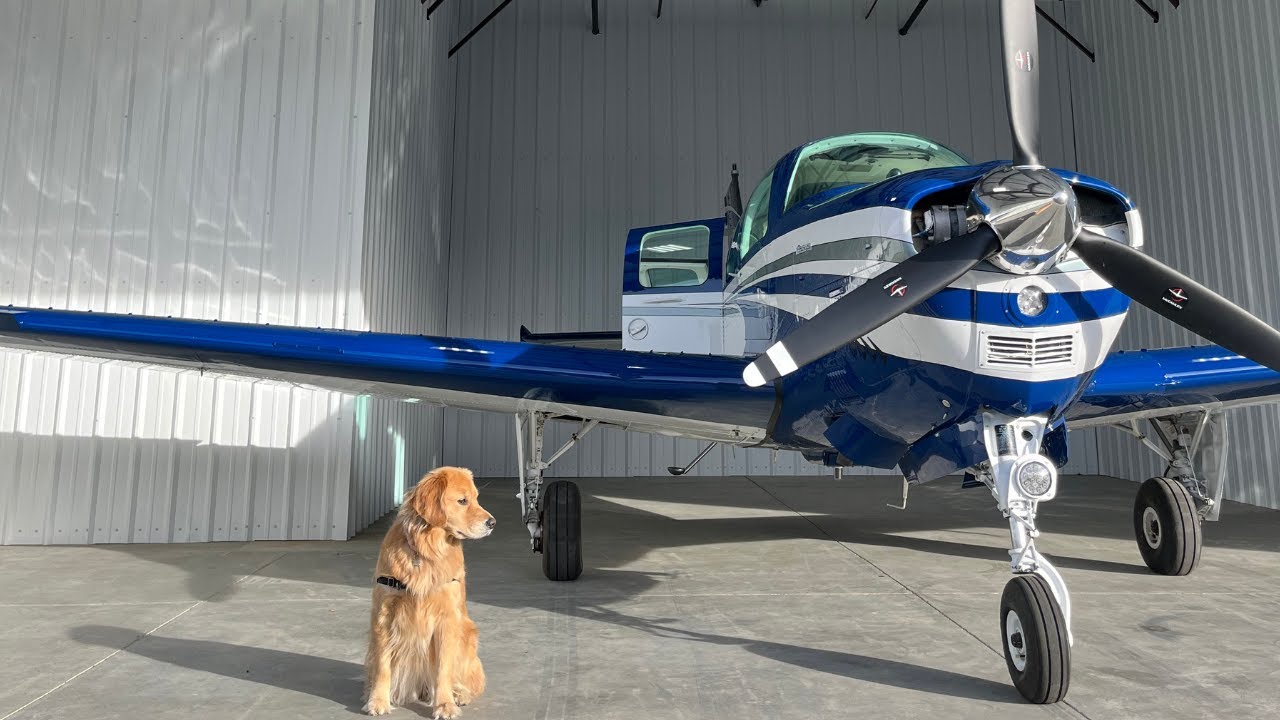 Full Flight - Auburn, CA to San Carlos, California