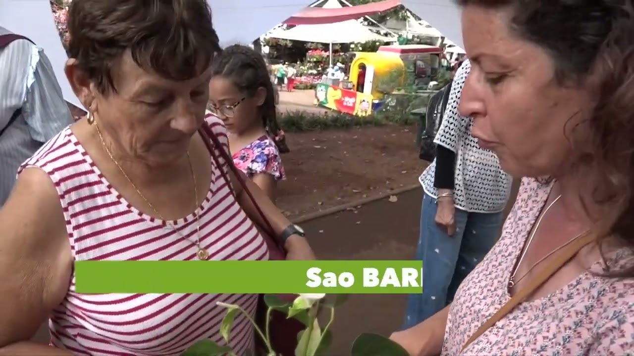 Valoriser la laine de mouton péi - Partie 2