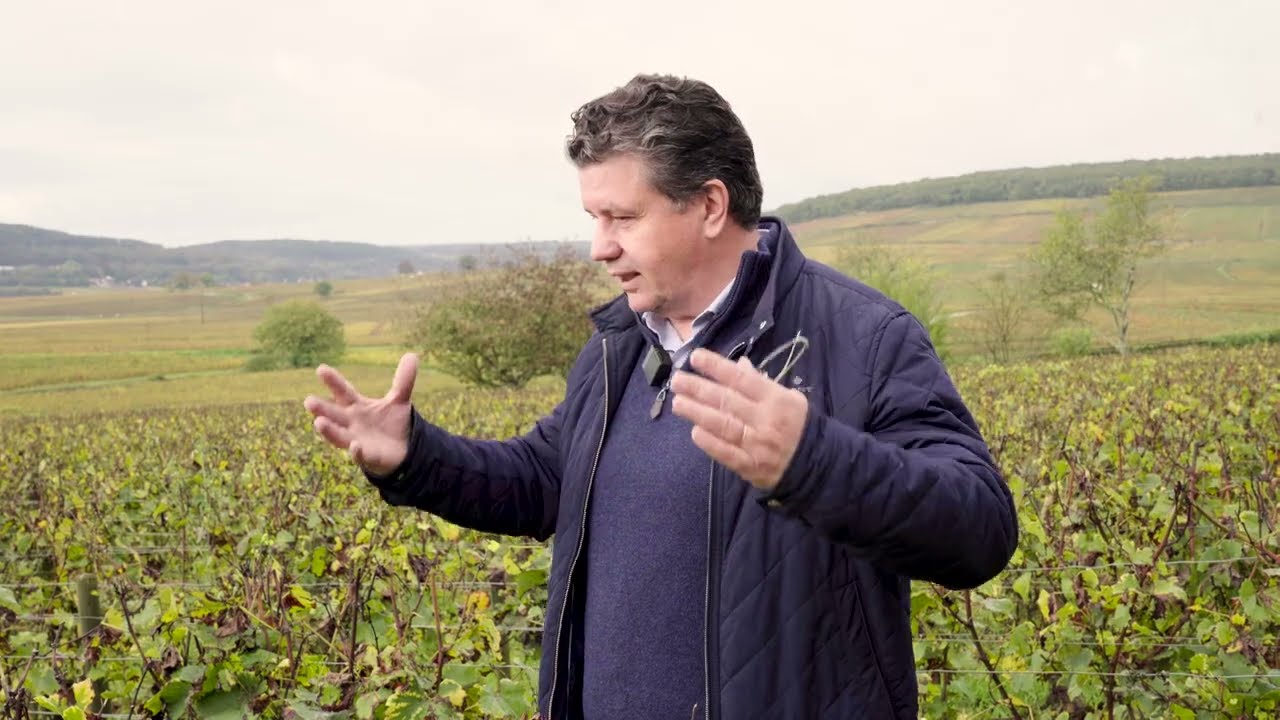 Domaine Comte Senard 🍇🍷