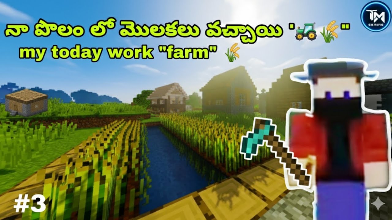 నా పొలంలో మొలకలు వచ్చాయి! 🌱| My First Farm in Minecraft | Survival Series Ep-3 (Telugu)