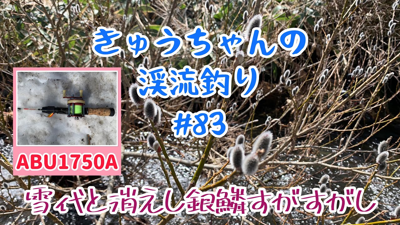 きゅうちゃんの渓流釣り #83 [HD]【ABU1750A】【PW Glasso】【🏞雪代と消えし銀鱗すがすがし🐟】【2023年3月15日】